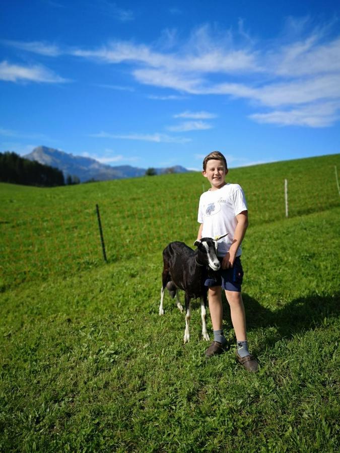 Hochmuthhof Appartement Reith im Alpbachtal Buitenkant foto